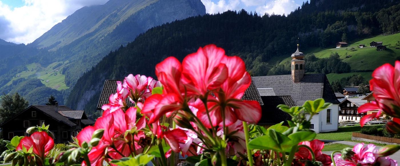 Haus Alpina