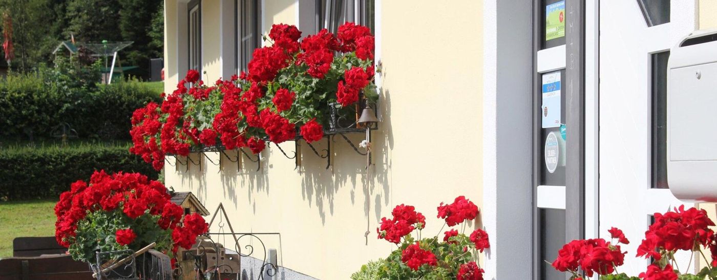 Familien & Wander-Pension Purkhardt