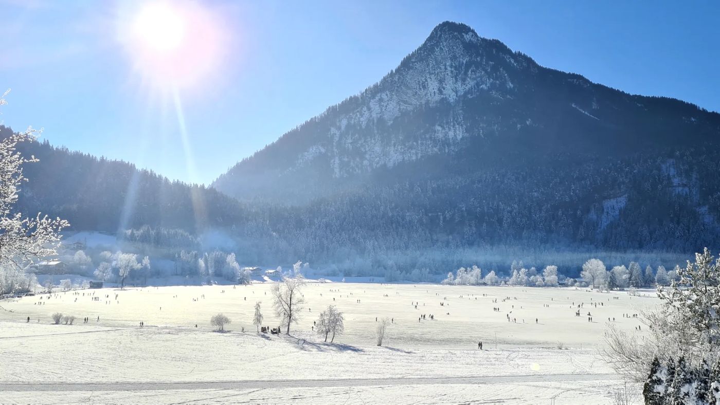Aparthotel Buchauer.Tirol