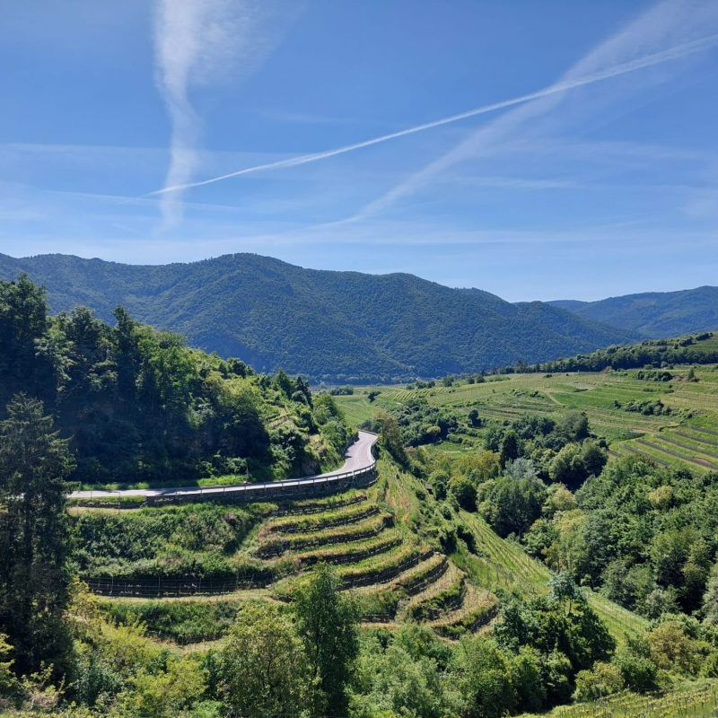 Malat Weingut und Hotel