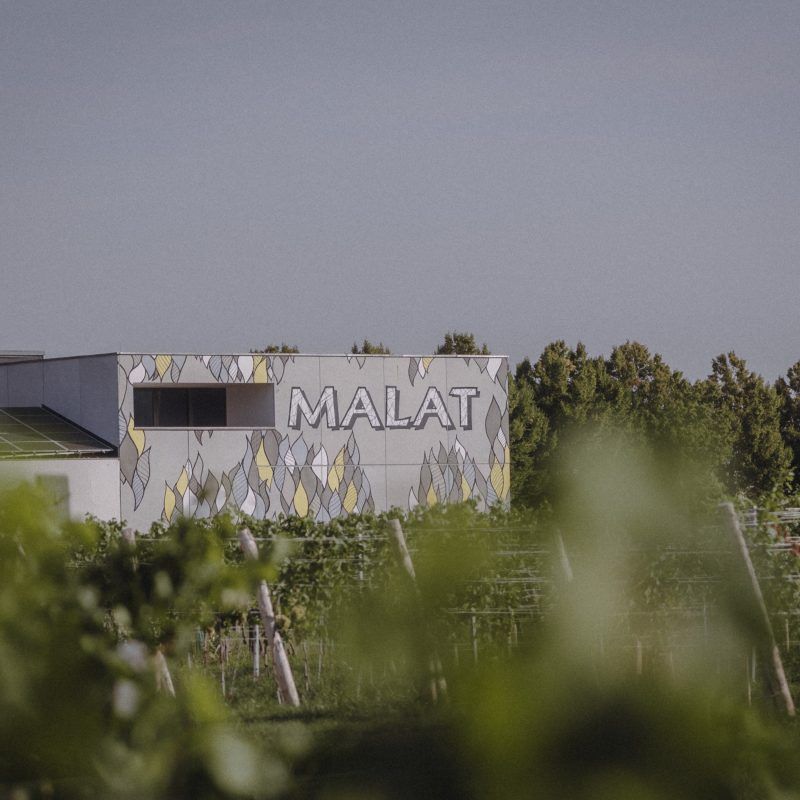Malat Weingut und Hotel