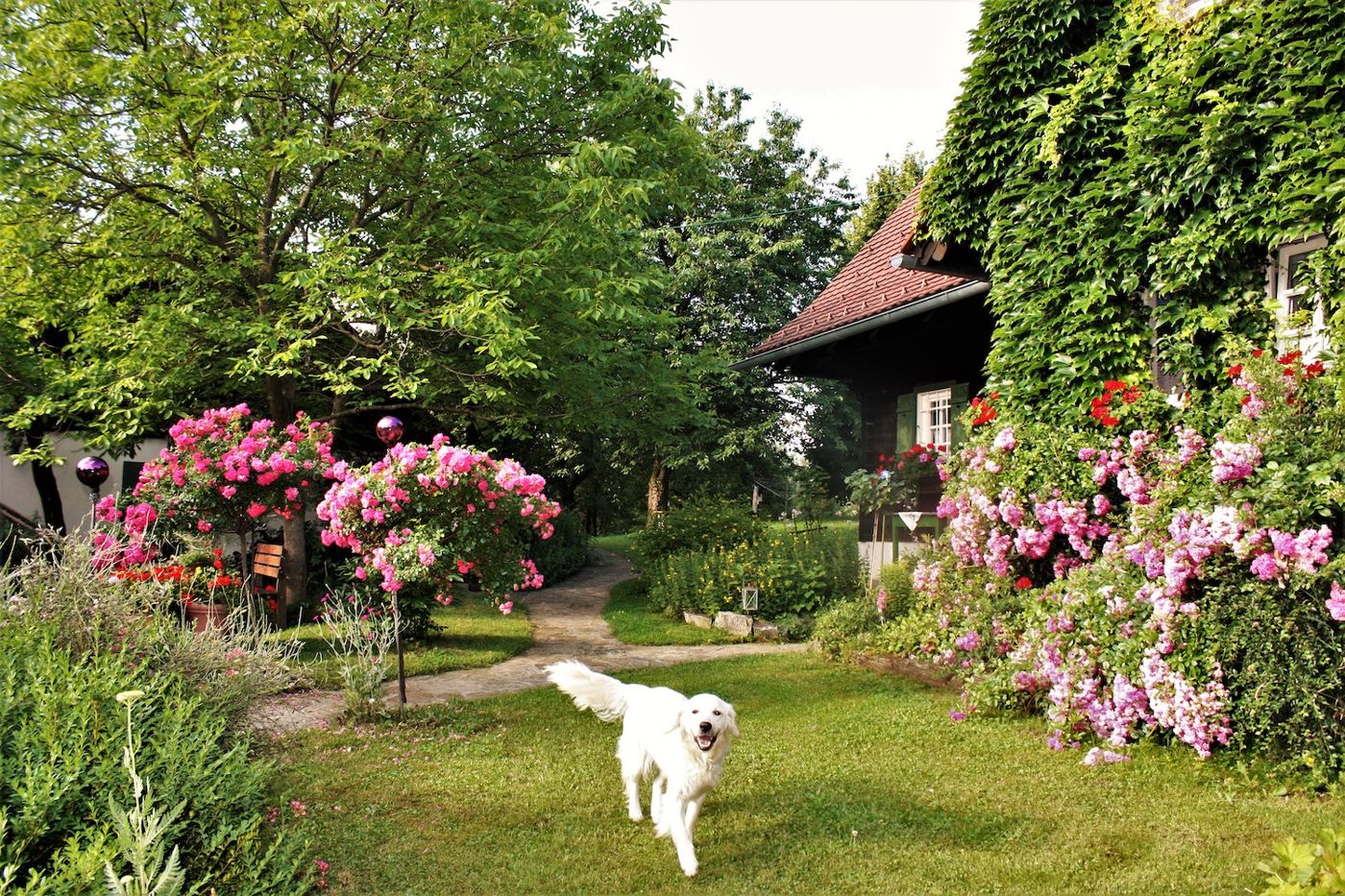 Altes Gehöft am Lormannberg