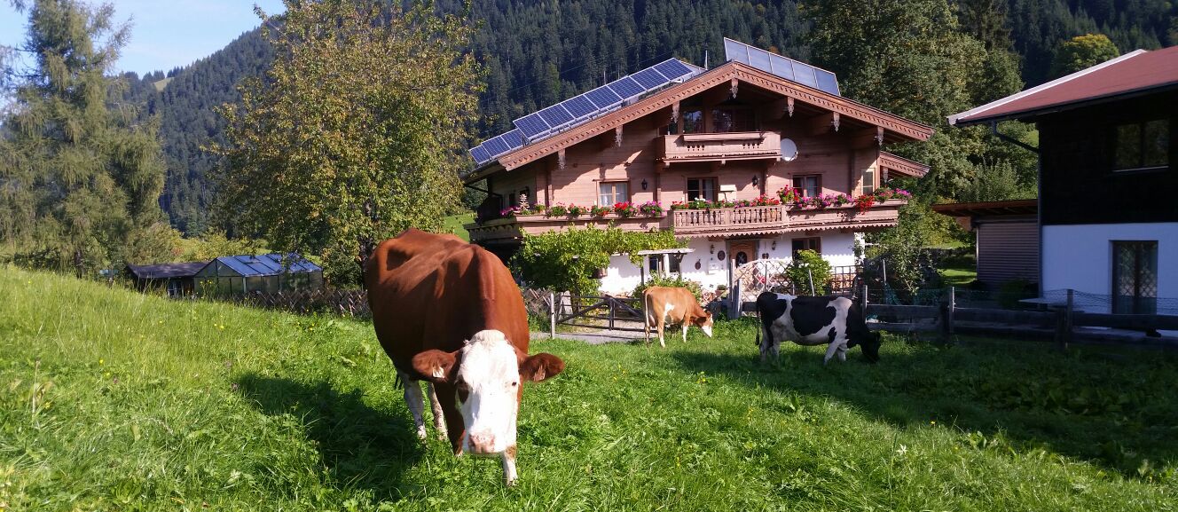Appartements Berger