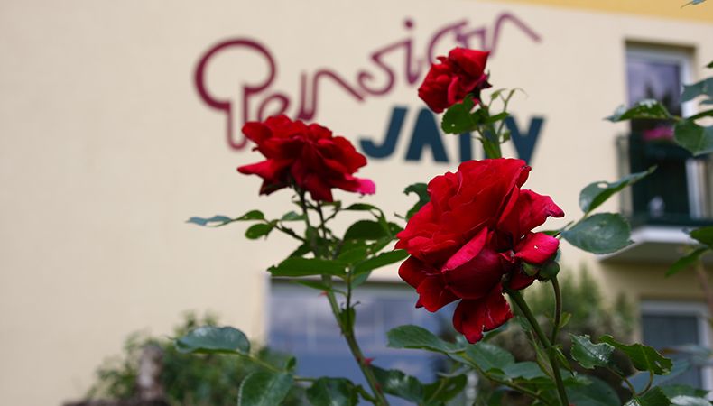 Pension Jany