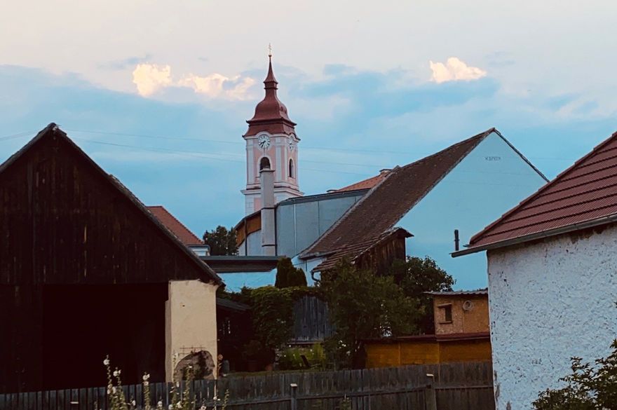 Sonnenhof Wildkatta
