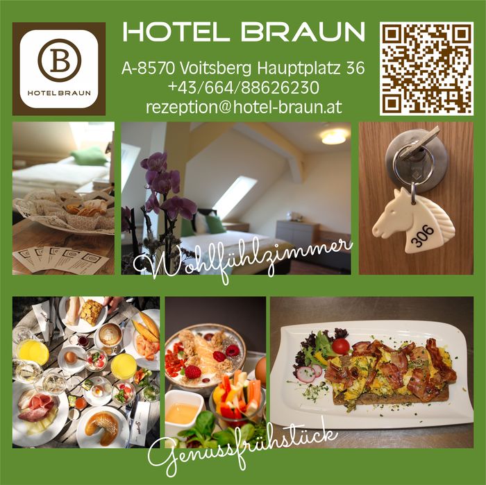 Hotel Braun