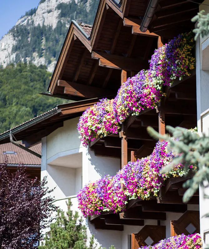 Hotel Sonnenuhr