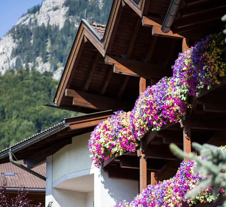 Hotel Sonnenuhr