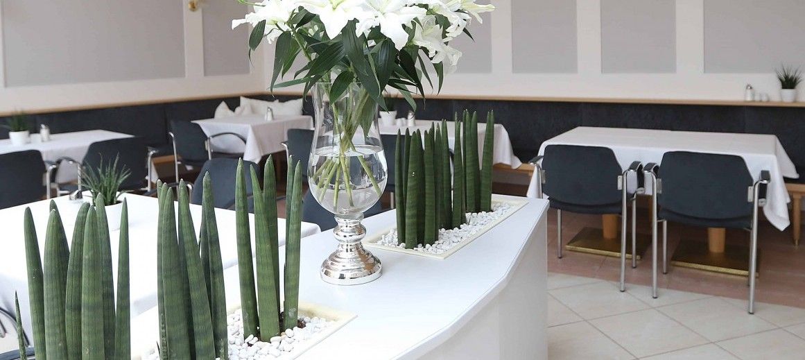 Stadthotel Pinkafeld