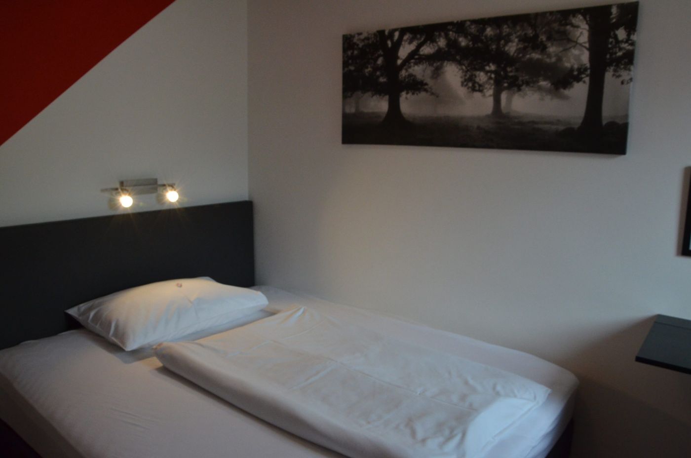 Hotel Traube