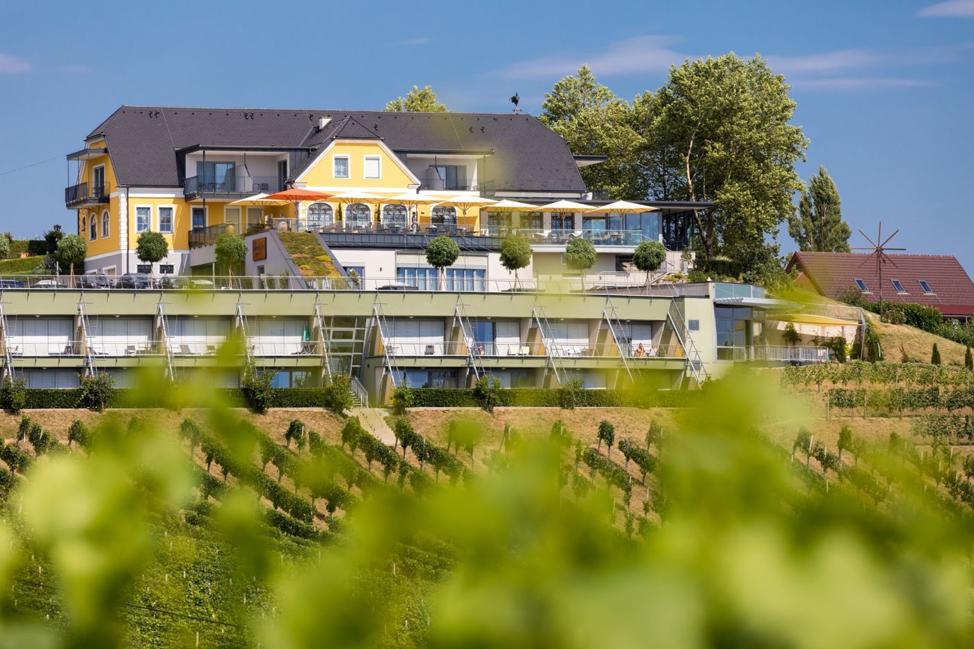 Weinrefugium Brolli