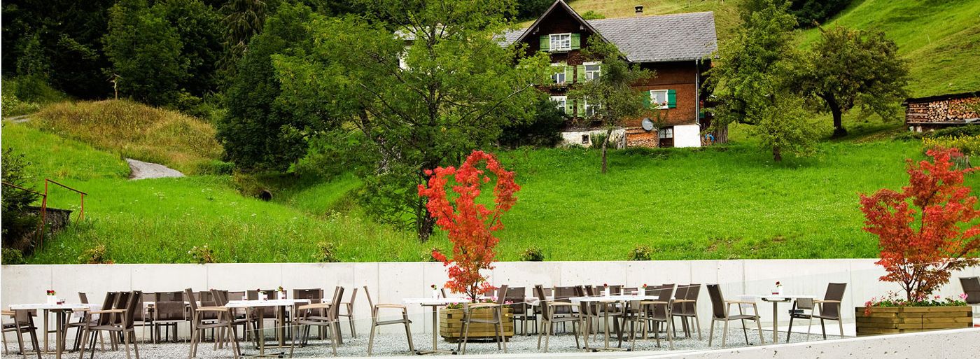Alpenrose