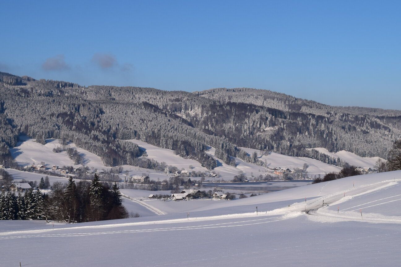 Irlingerhof