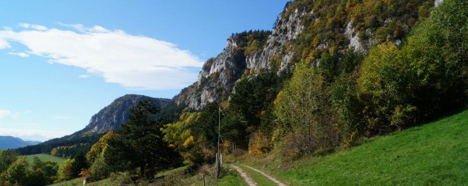 Haus Bergblick