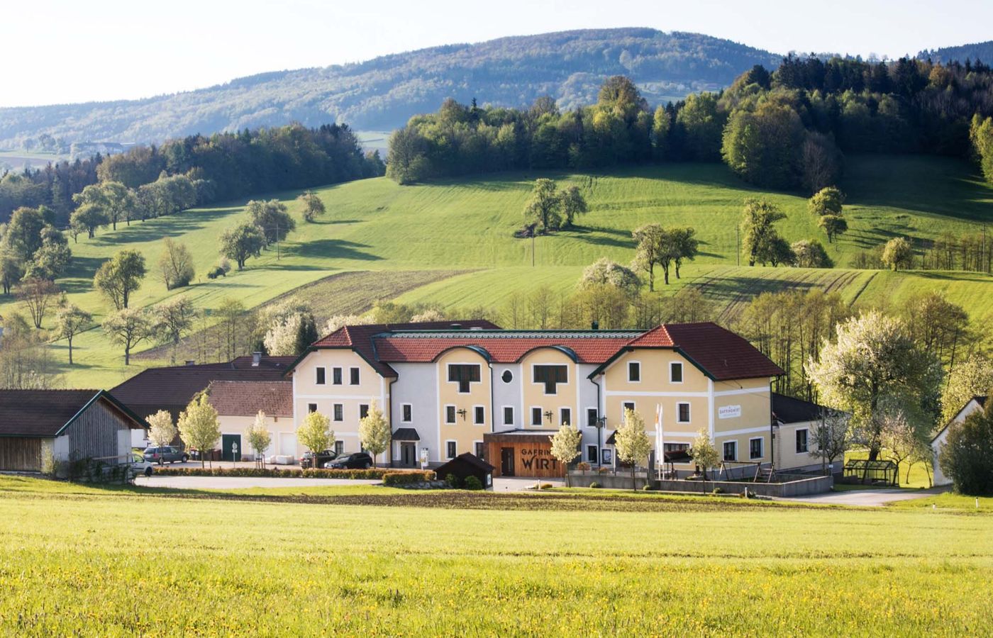 Gafringwirt