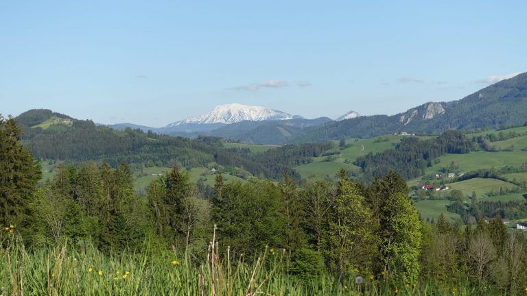 Die Schmiede