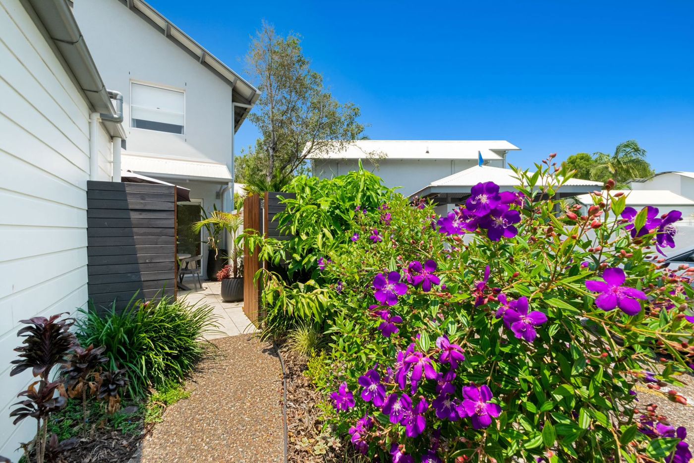 Noosa Entrance