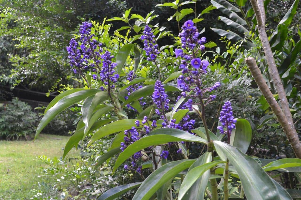 Palmwoods Eco Escape