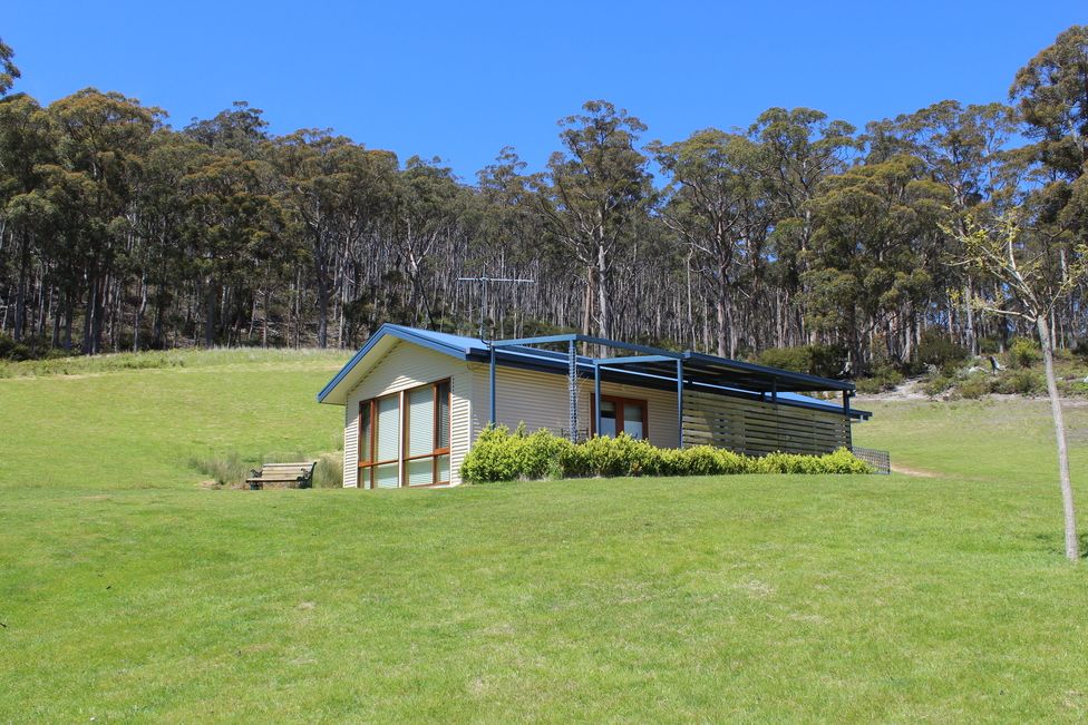 Cherryview Cygnet