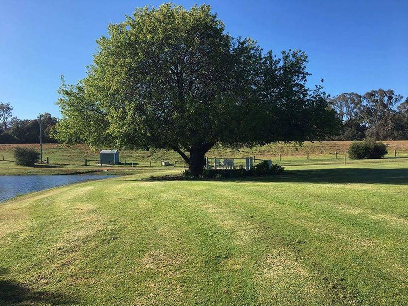 Redtail Ridge Cottages