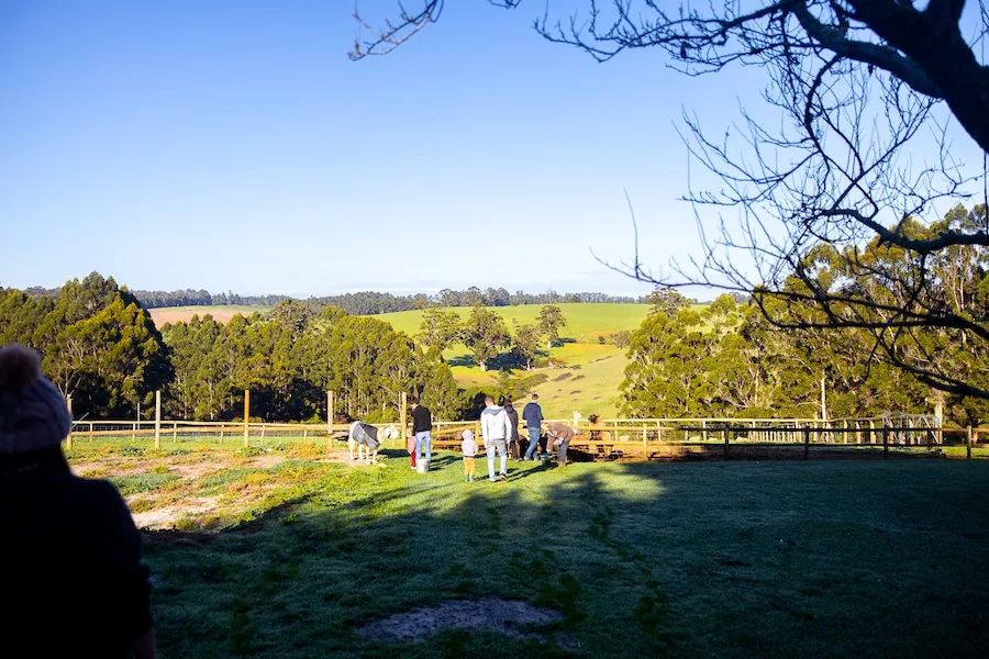 Pump Hill Farm Cottages