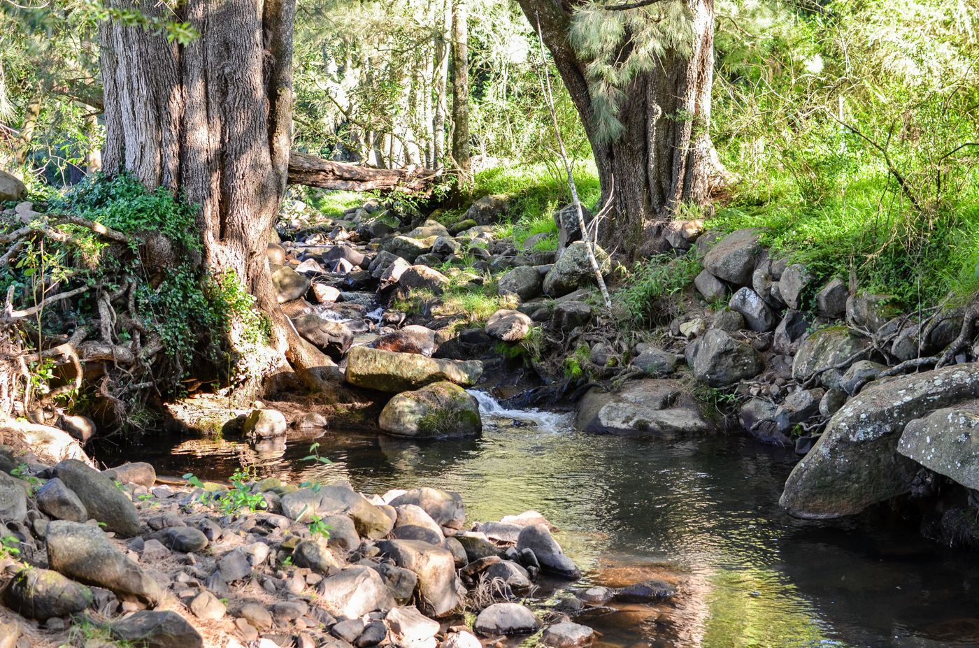Ryders Creek Retreat
