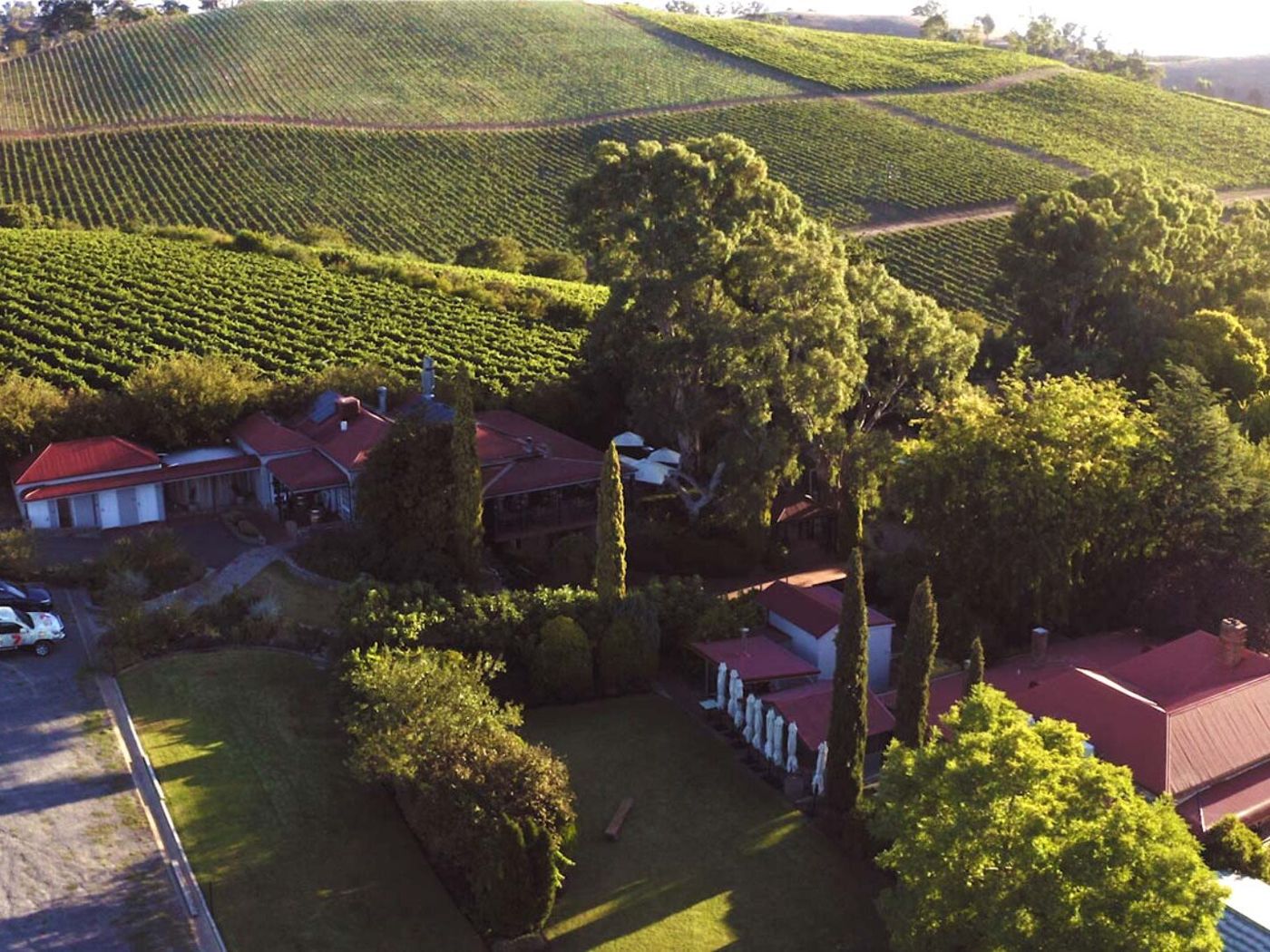 Mt Bera's Vineyard Cottage BnB