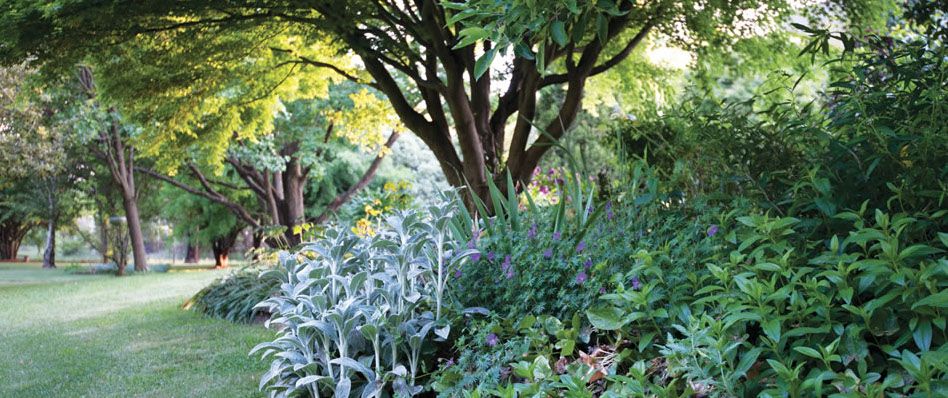 Clifton Gardens Bed & Breakfast