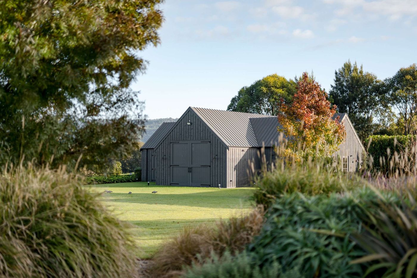 Linnaeus Farm Berry By Linnaeus Collection