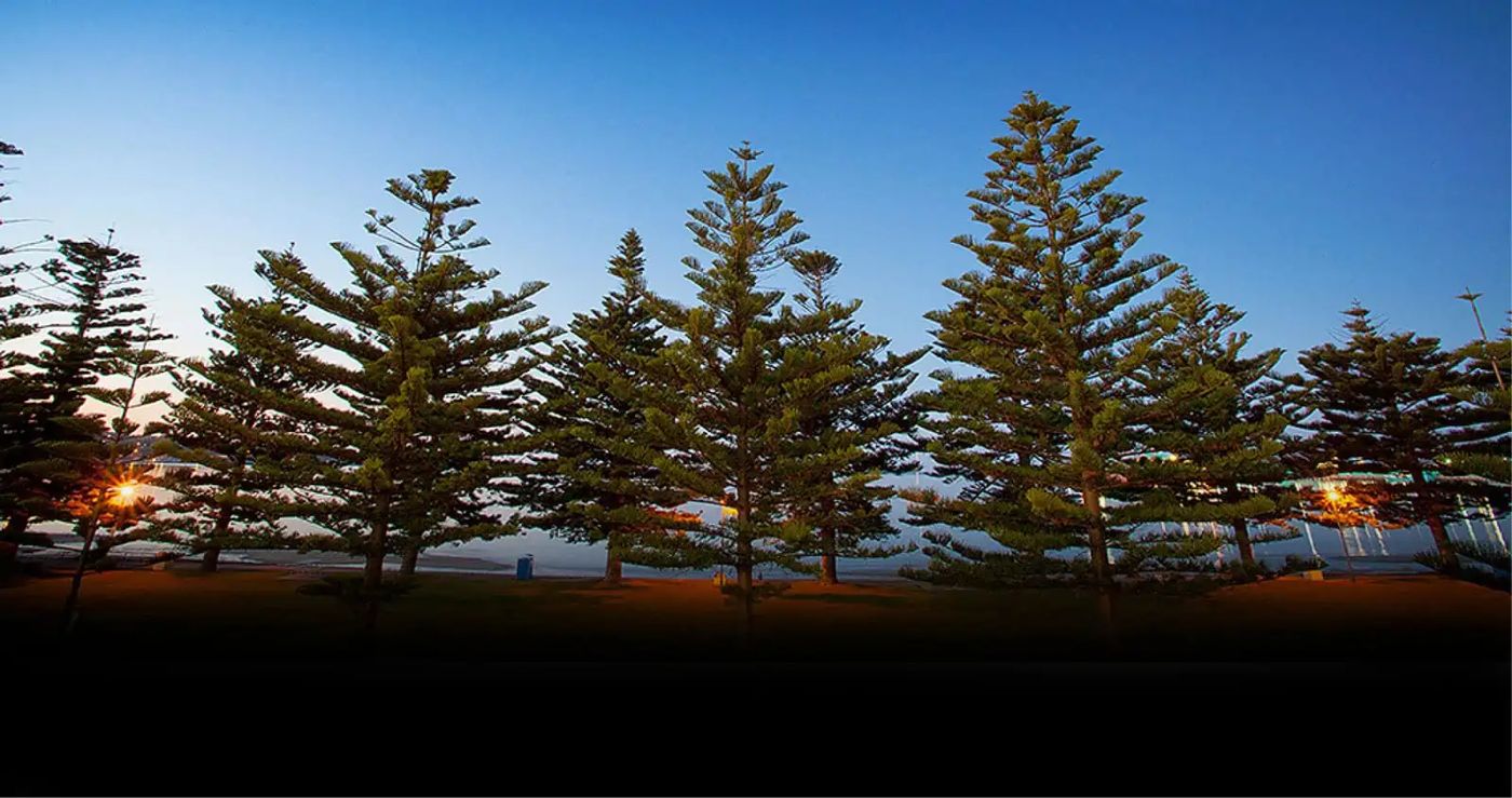 Port Lincoln Foreshore Apartments