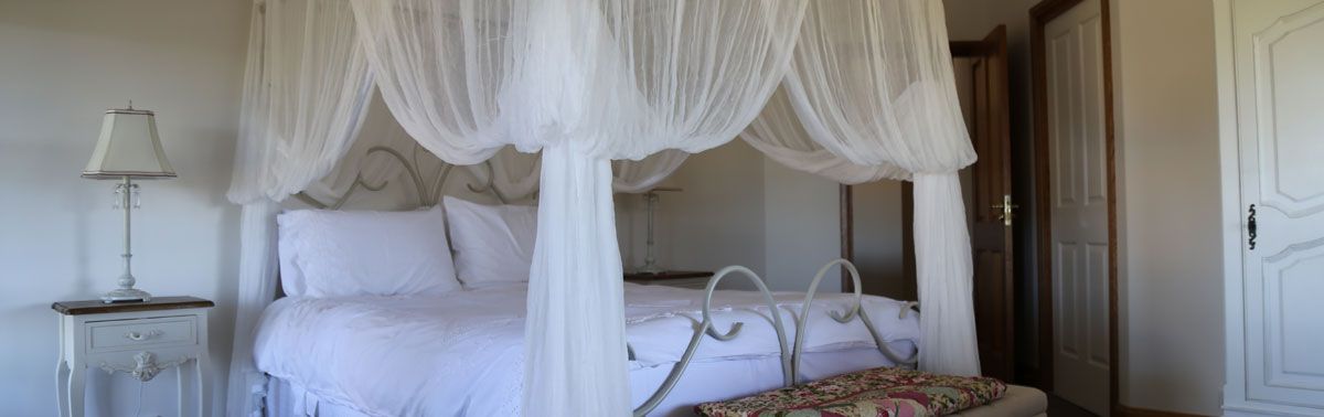 BellbirdHill Bed and Breakfast