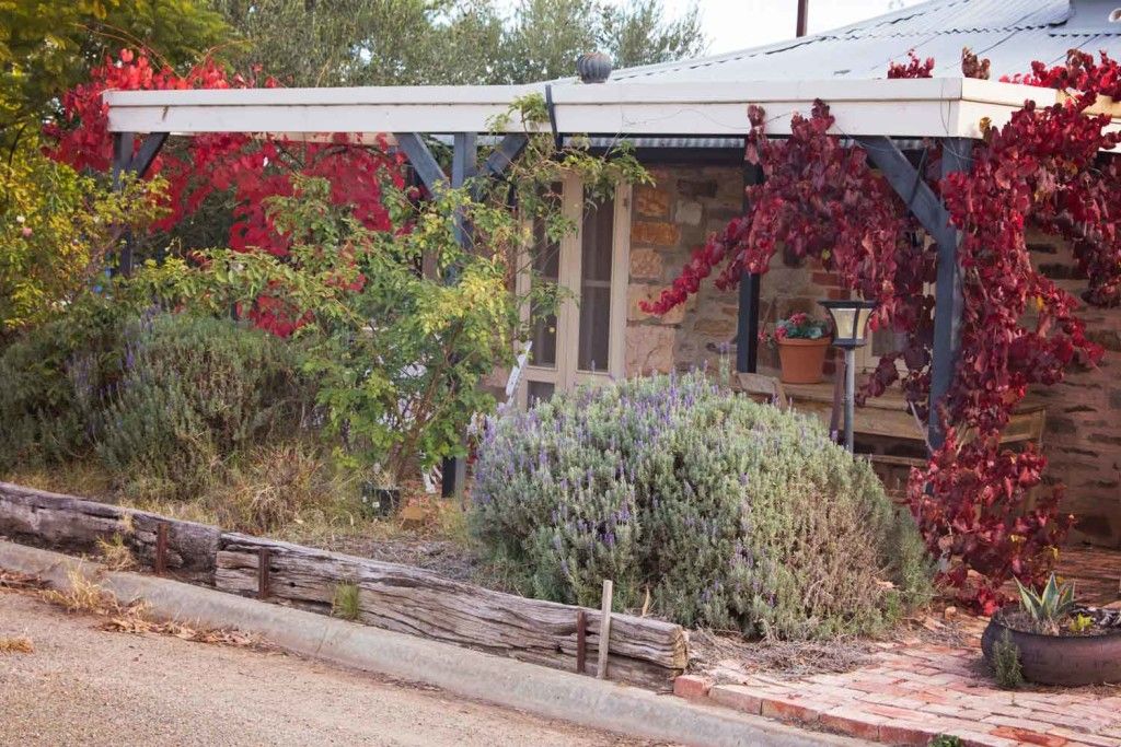 Hillside Cottage Bed and Breakfast