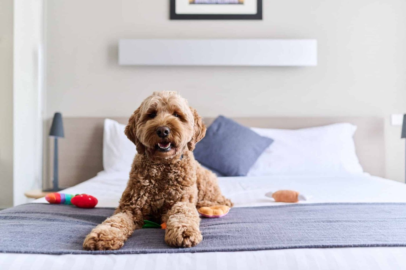 Abode - The Apartment Hotel
