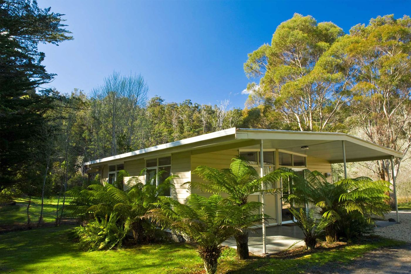 Russell Falls Cottages