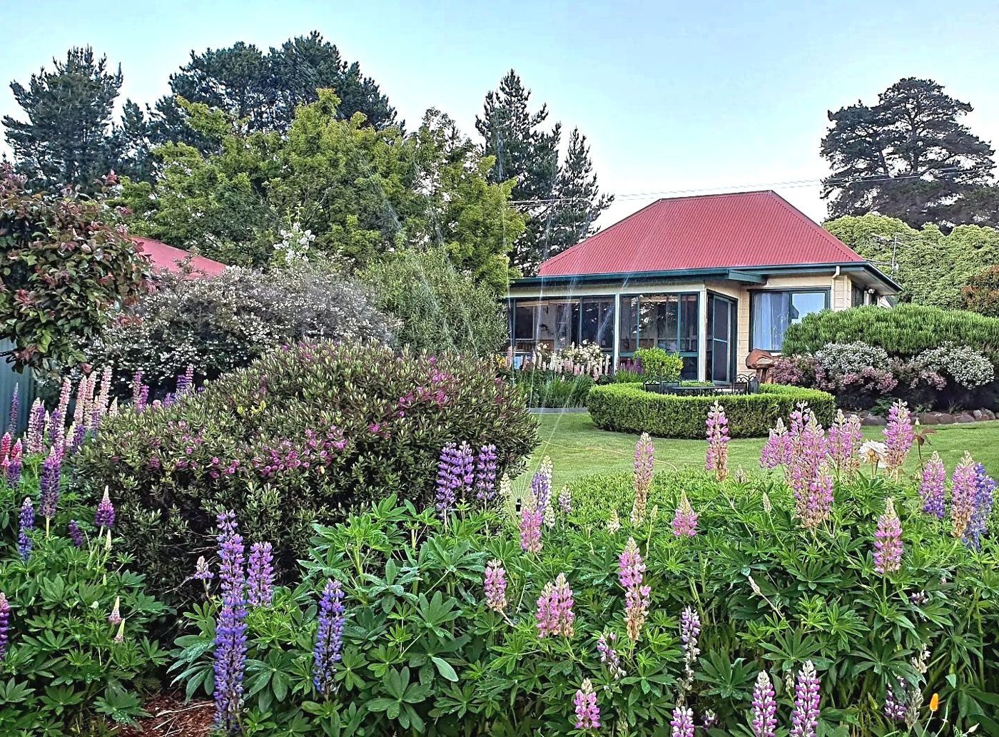 Hamlet Downs Country Accommodation