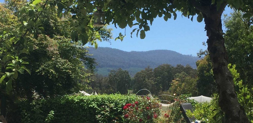 Oaktree Guest House