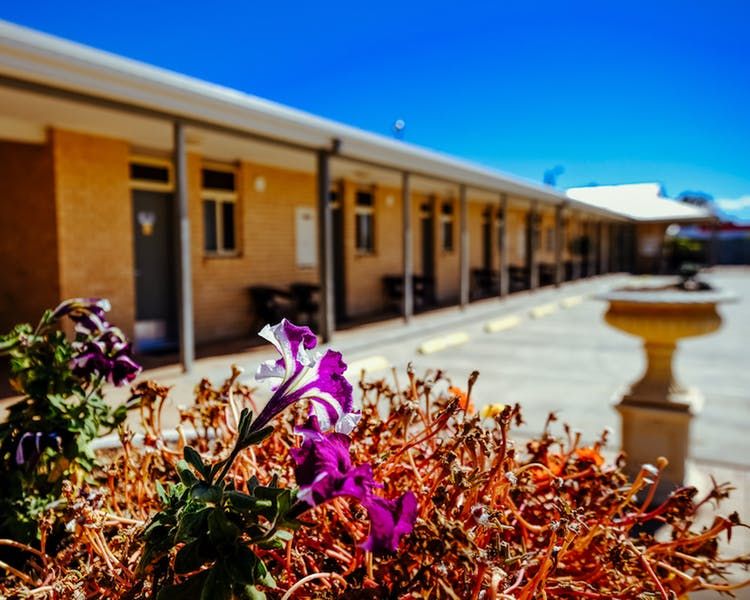 Club Motor Inn