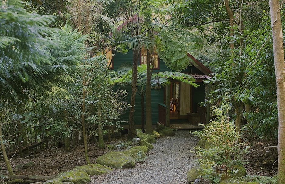 Springbrook Lyrebird Retreat