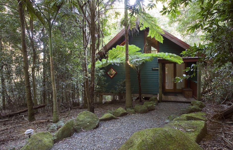 Springbrook Lyrebird Retreat