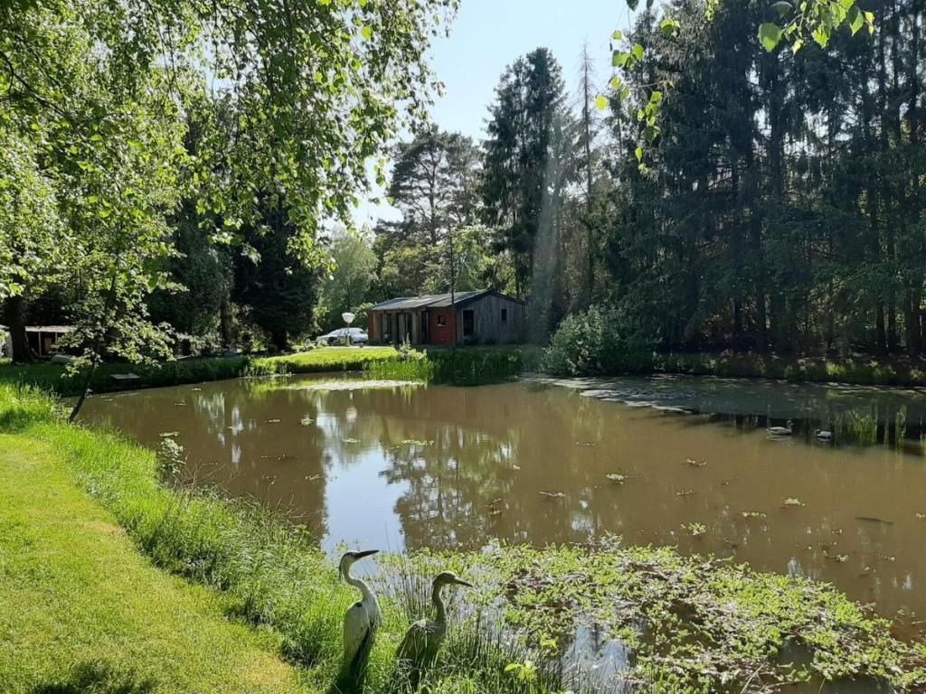 Het bed van den Doktoor