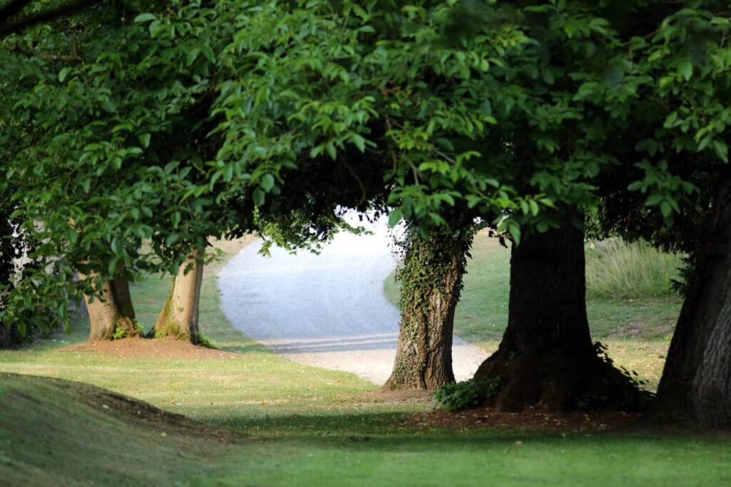 Domaine Saint Roch