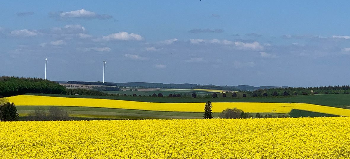Gîte Coeur de Boeur