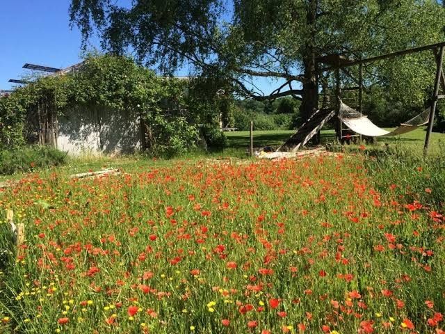Le Jardin Des Sources - La Hulpe