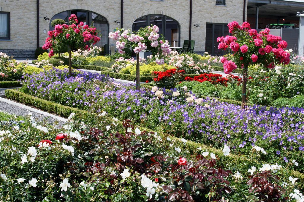 B&B en Rozenkwekerij La Vie en Roses