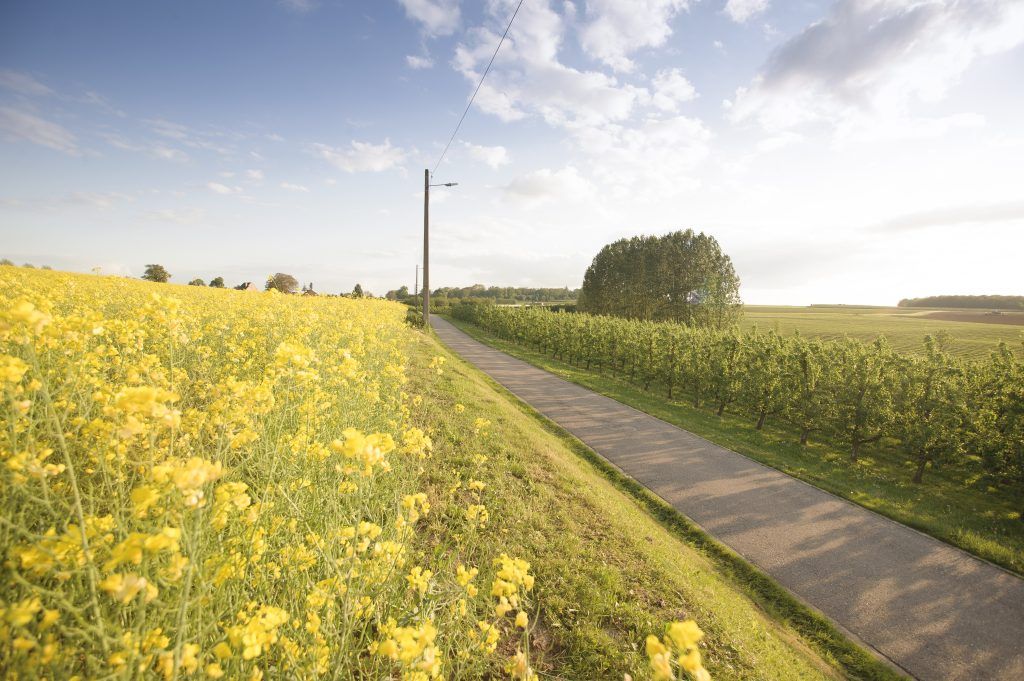 Kamerijck Bed & Breakfast