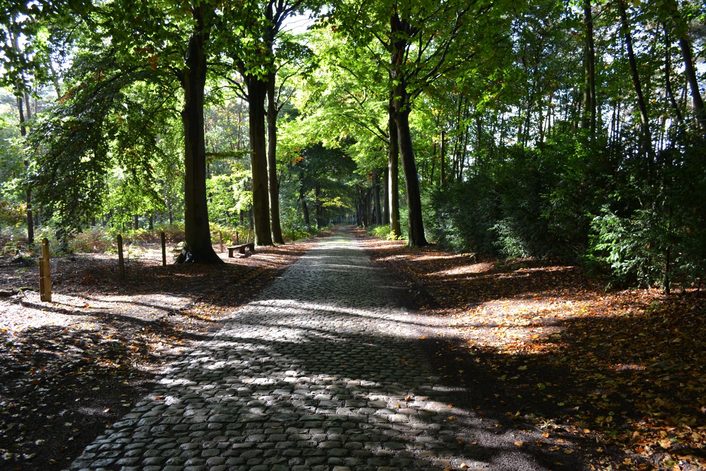 B&B 't Heirweggoed