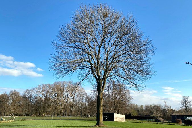 Vakantiewoning De Oude Es