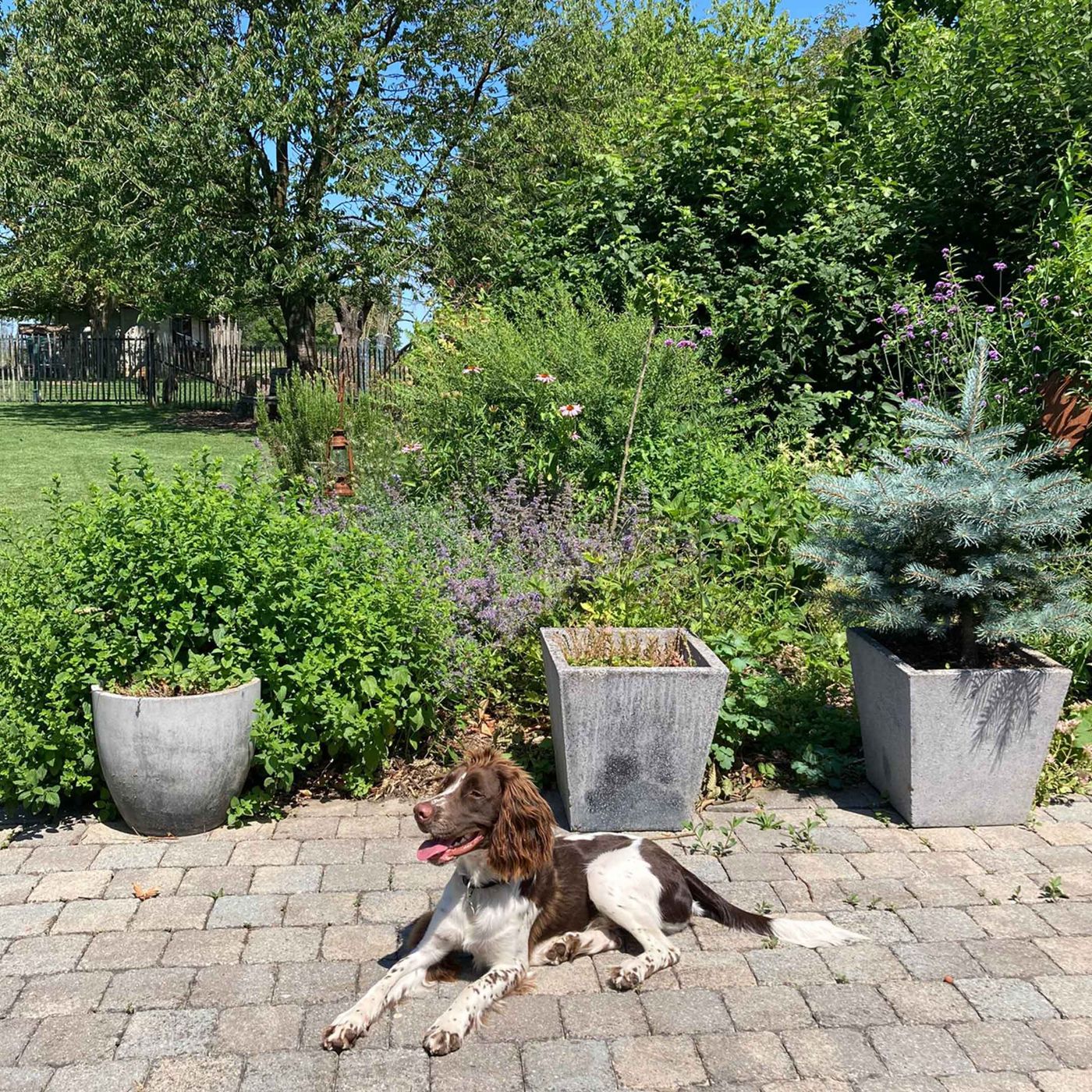 B&B Den Biesthoek