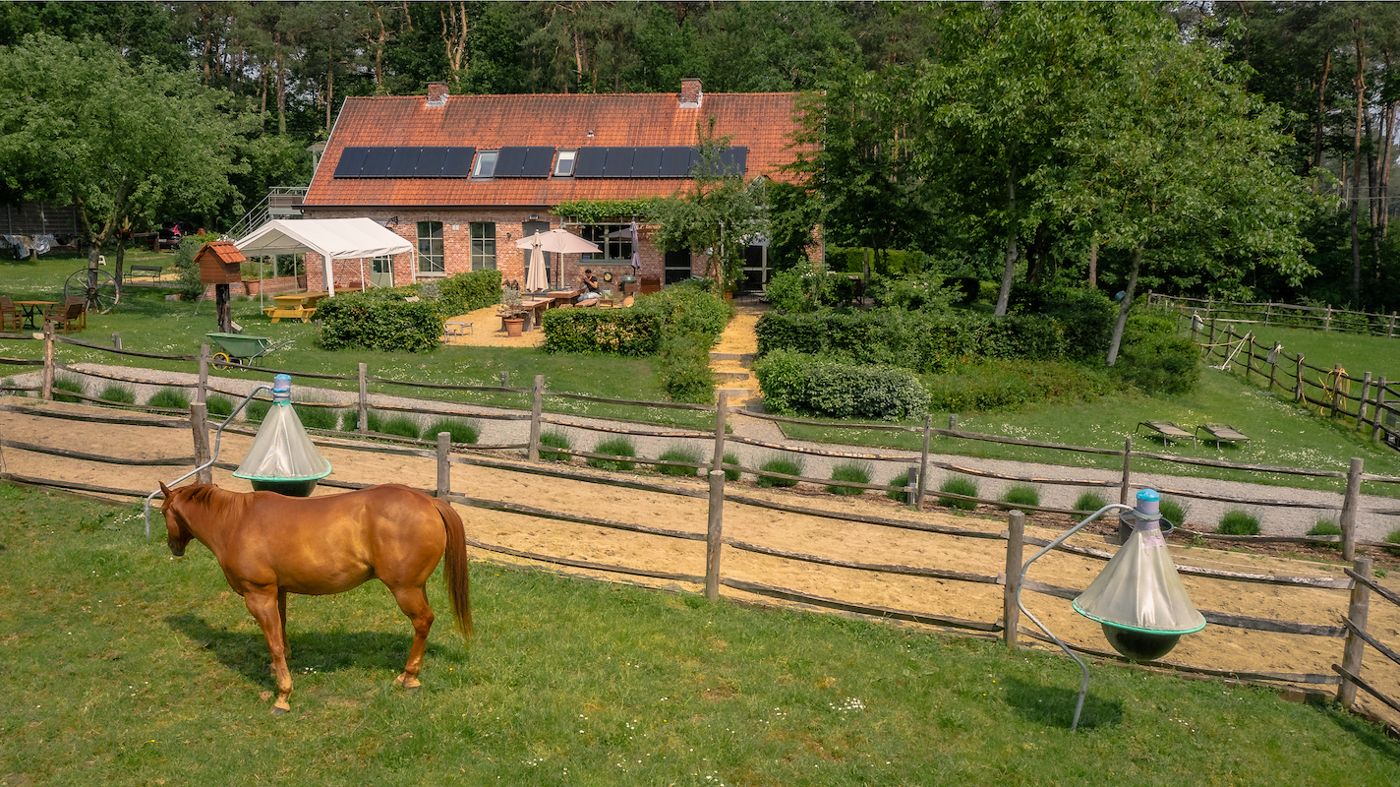 B&B Zinnen en Minnen