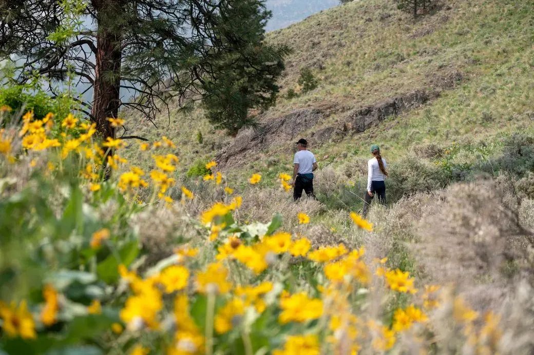 Mountain Springs Nature Retreat B&B